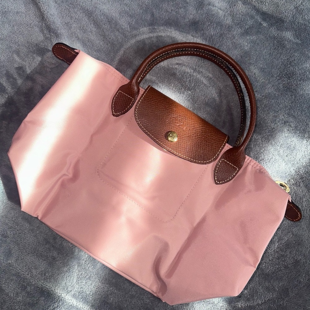Long Champ Paris Pink and Brown Tote Bag